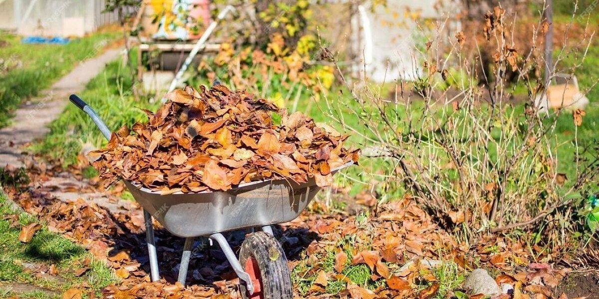 Опавшая листва в саду: убирать или оставить? Раскрываем все за и против Опавшая листва в саду: убирать или оставить? Раскрываем все за и против