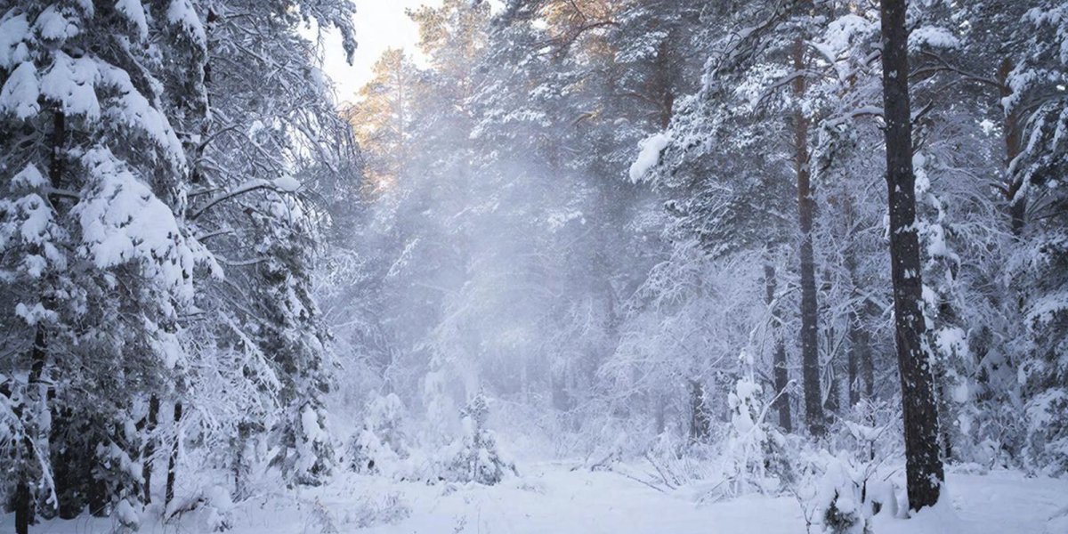 Почему есть снег опасно: три неочевидные угрозы, о которых рассказал лор-врач Почему есть снег опасно: три неочевидные угрозы, о которых рассказал лор-врач