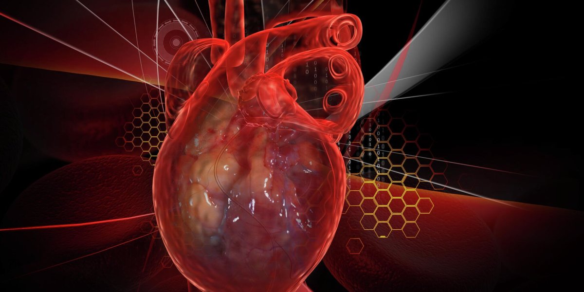 Сердце не болит, а сигналит: какие признаки предупреждают об остановке сердца за год до трагедии Сердце не болит, а сигналит: какие признаки предупреждают об остановке сердца за год до трагедии