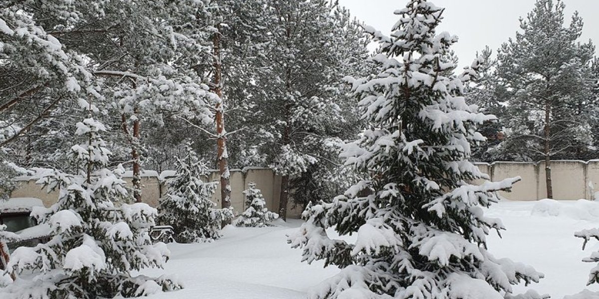 Запреты Ивана-Бражника: чего нельзя делать, чтобы не навлечь беду Запреты Ивана-Бражника: чего нельзя делать, чтобы не навлечь беду