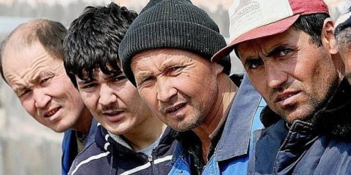 «Плати за всех или уезжай»: Госдума готовит революцию в миграционной политике «Плати за всех или уезжай»: Госдума готовит революцию в миграционной политике